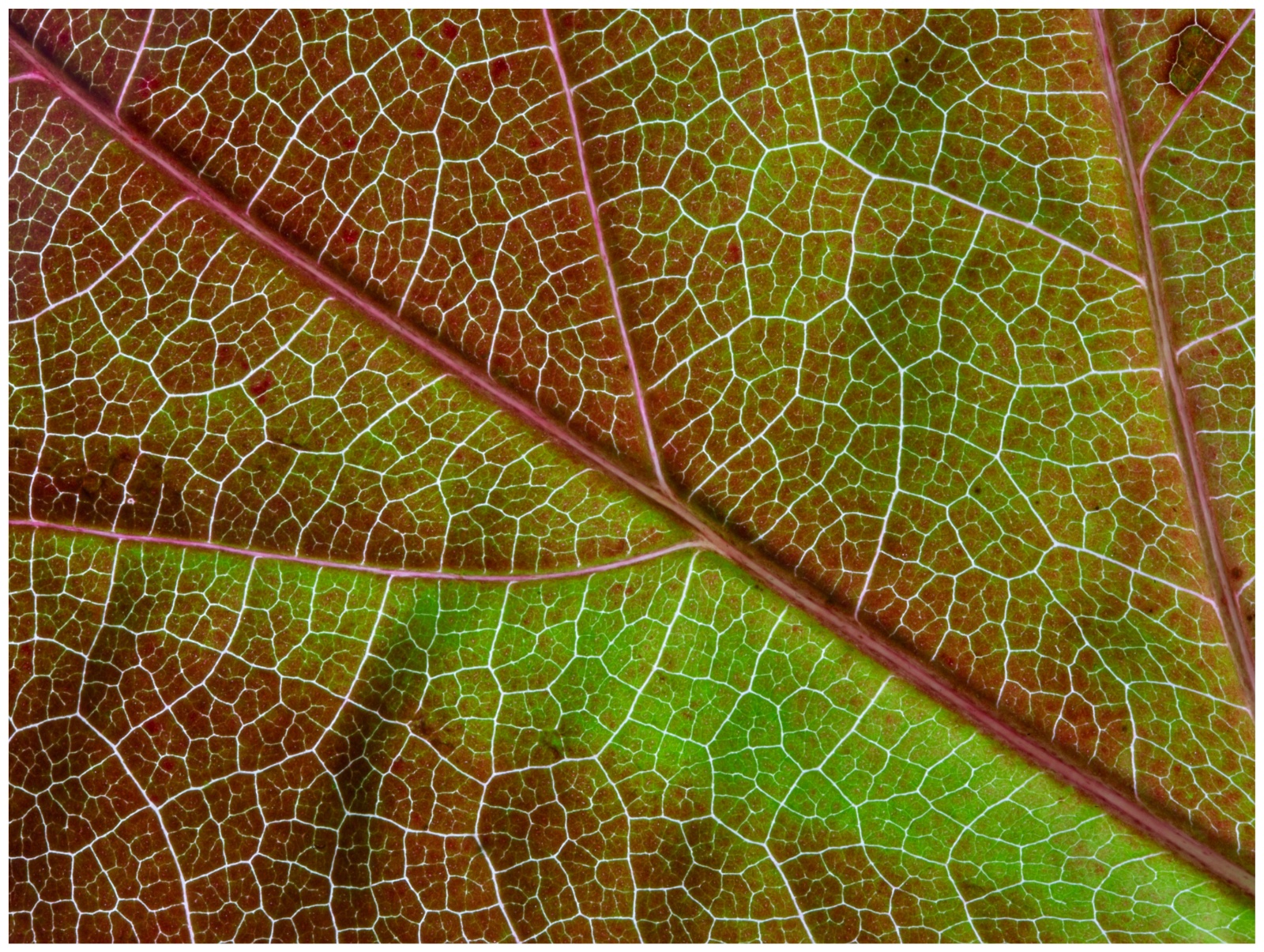 Platz 10 Roland Titz